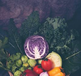 A Well Balanced Pregnancy