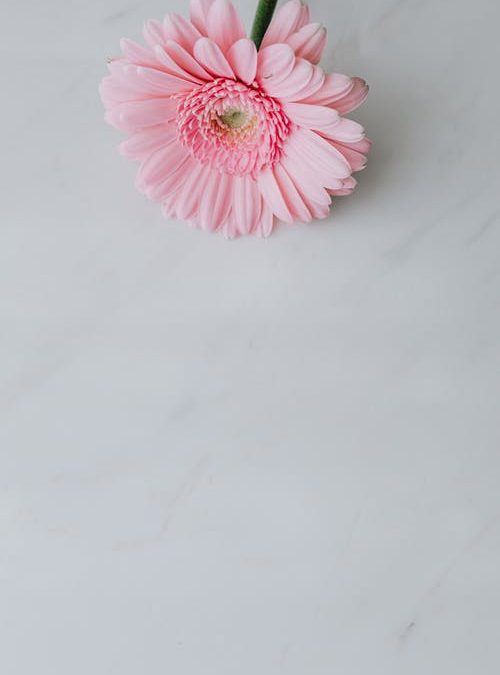 Breast Cancer Awareness