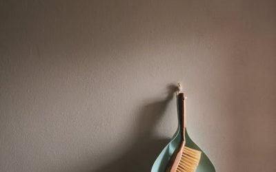 Spring Cleaning to Self Cleaning- Part 1