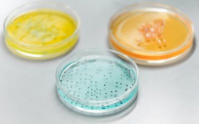 Depression or something else?